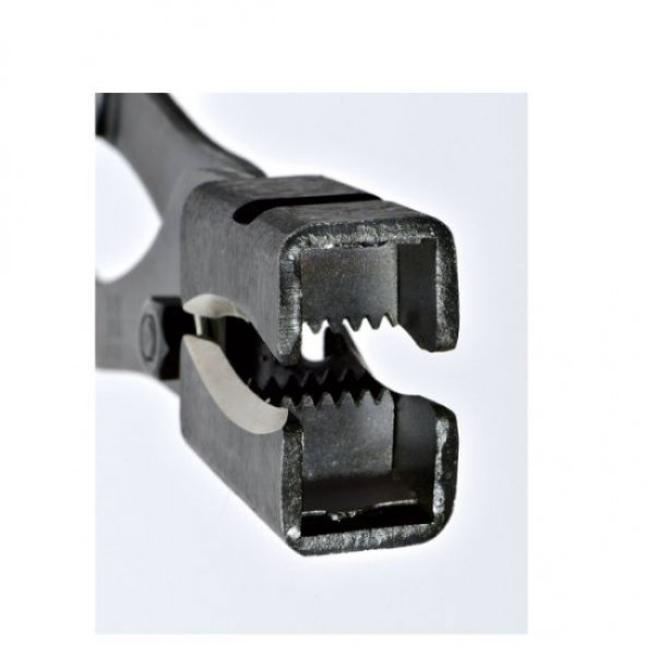 画像2: No.1137  取木鋏 (2)