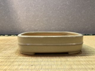 常滑鉢 ｜ 鉢専門の盆栽ネットワーク・ジャパン (Page 8)