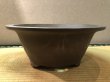 画像1: No.EA0307  和泉屋 (1)