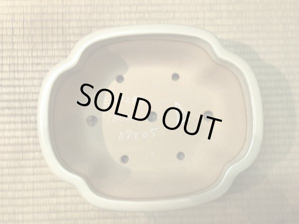 画像3: No.EA0296  黎鳳 (3)