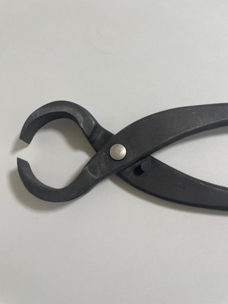 画像4: No.0014  根切り(大) (4)