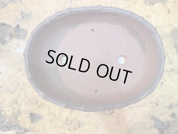 画像4: No.HR3557  美芸 特選鉢(木箱入) (4)