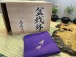 画像6: No.HR3557  美芸　特選鉢(木箱入) (6)