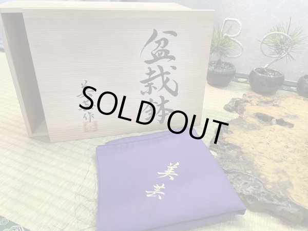 画像6: No.HR3557  美芸 特選鉢(木箱入) (6)