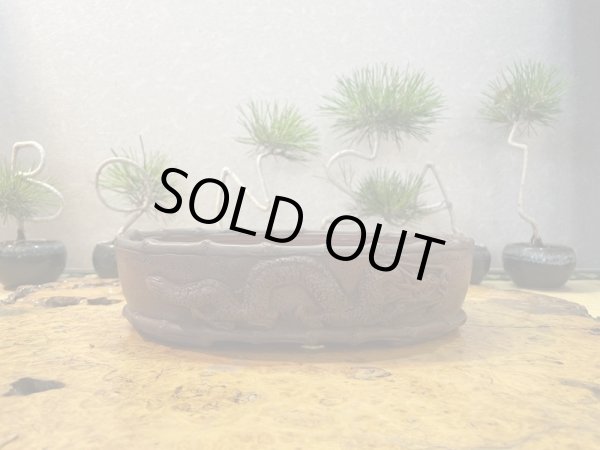 画像3: No.HR3557  美芸 特選鉢(木箱入) (3)