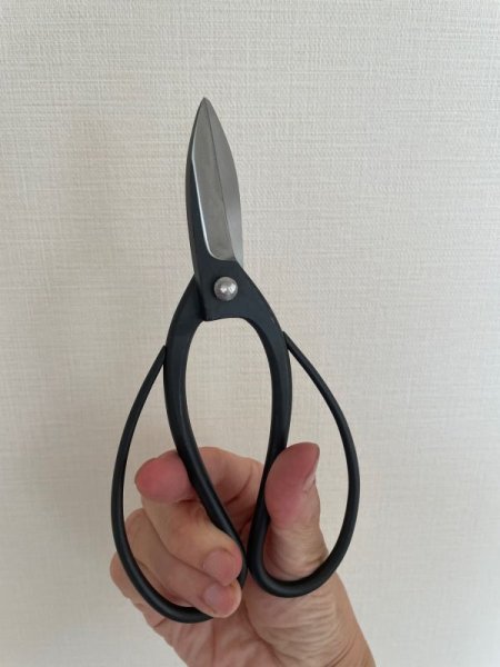 画像6: No.0101  特製黒磨剪定鋏 (6)