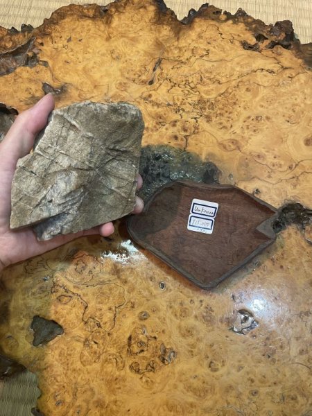 画像5: No.HR3901  産地不明 (5)