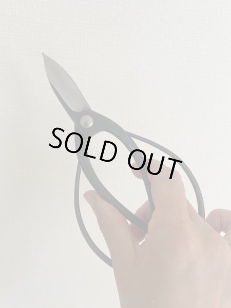 画像5: No.0051  剪定鋏(新製品) (5)