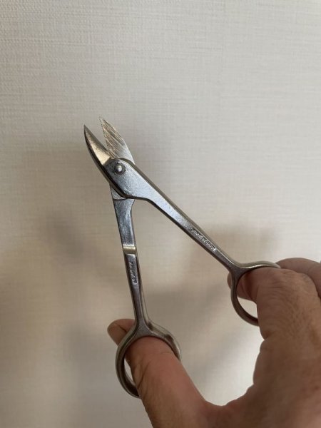 画像5: No.8009  白染め針金切り小鋏 (5)