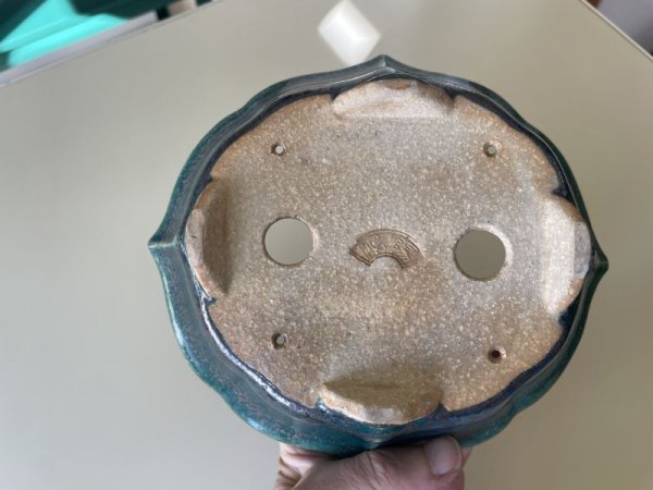 画像3: No.IA31248 鴻陽 (3)