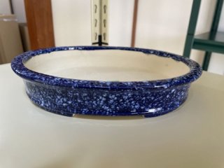 盆栽鉢販売店 ｜ 盆栽鉢専門の盆栽ネットワーク・ジャパン (Page 6)