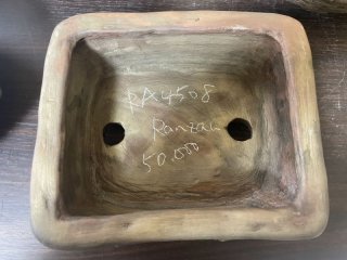 嵐山鉢 ｜ 鉢専門の盆栽ネットワーク・ジャパン