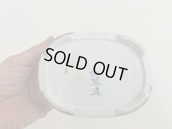 画像5: MB4801  陶翠 (5)