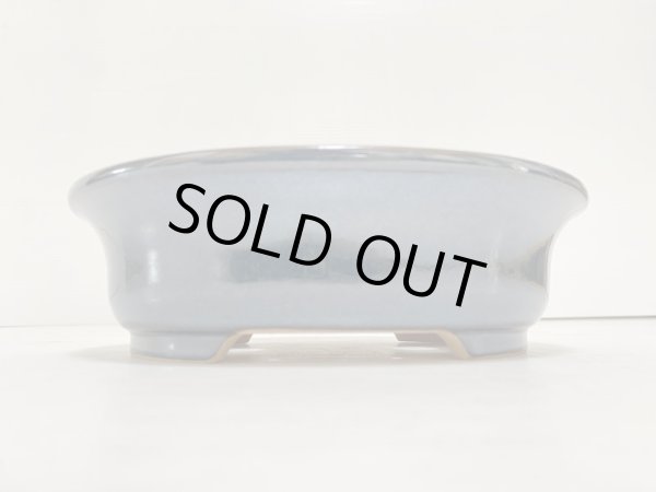 画像2: No.DA4858 黎鳳 (2)