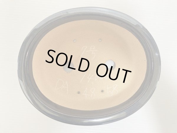 画像4: No.DA4858 黎鳳 (4)