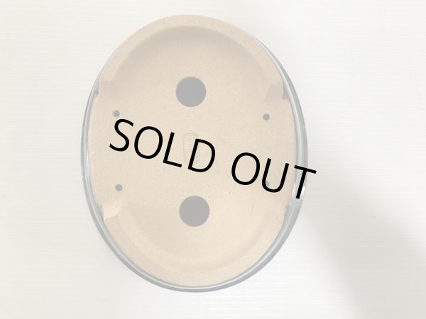 画像5: No.DA4858 黎鳳 (5)