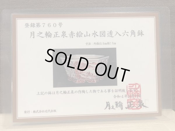 画像10: No.DA41209 鴻陽 (10)