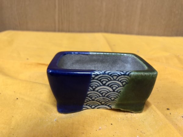 画像1: SA6497  里美　極小鉢　 (1)