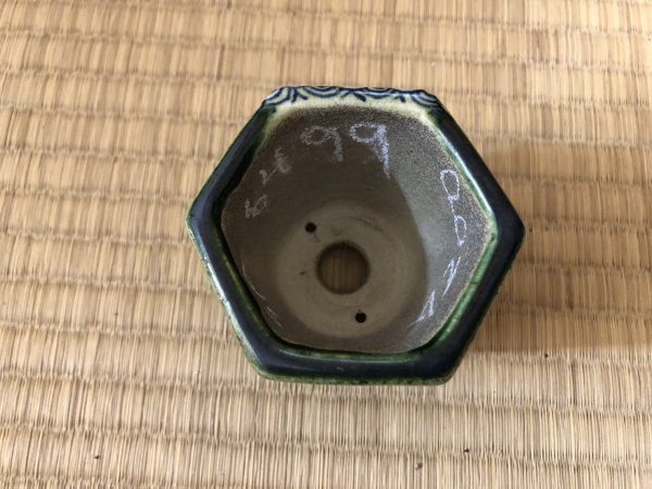 画像1: SA6499  里美　極小鉢　六角 (1)