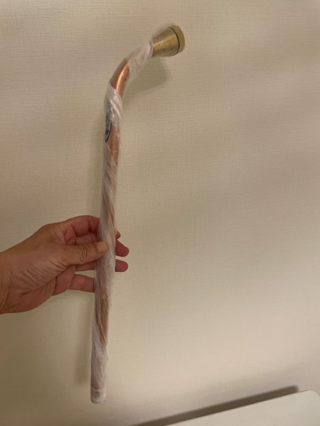 画像2: No.TB0506  喜久和　小品盆栽山野層ノズル　 (2)