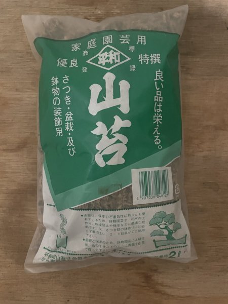 画像1: No.TB1001  山苔　2L (1)