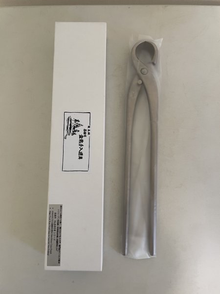 画像1: No.TB1005  昌国　白染めさつき用根切 (1)