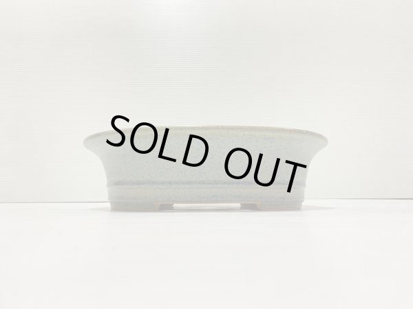 画像2: No.DA41201 黎鳳 (2)