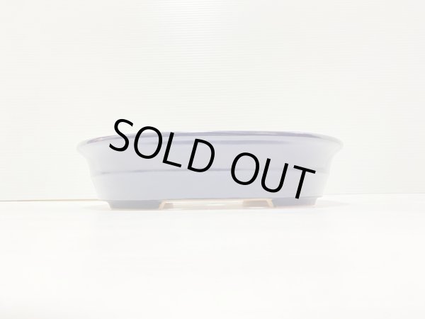 画像2: No.DA41207 黎鳳 (2)