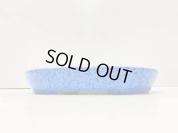 画像2: No.DA41208 鴻陽 (2)