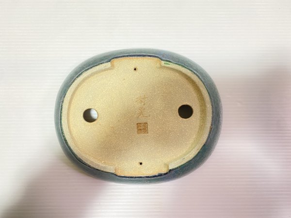 画像4: No.DA41211 樹晃 (4)