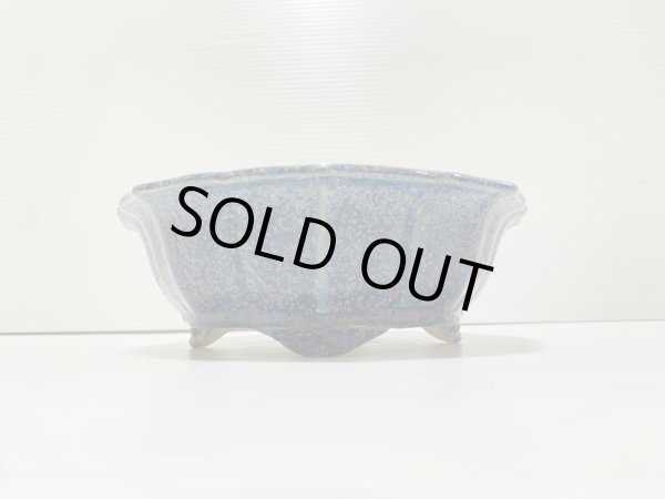 画像2: No.DA41214 樹晃 (2)