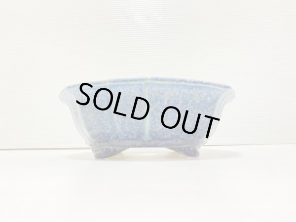 画像3: No.DA41214 樹晃 (3)