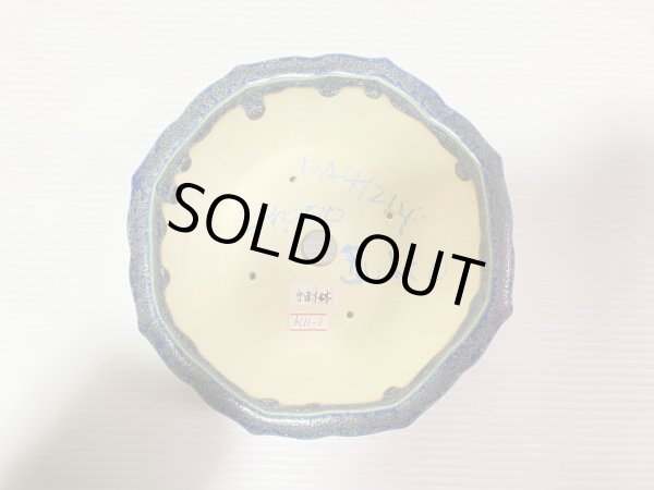 画像4: No.DA41214 樹晃 (4)