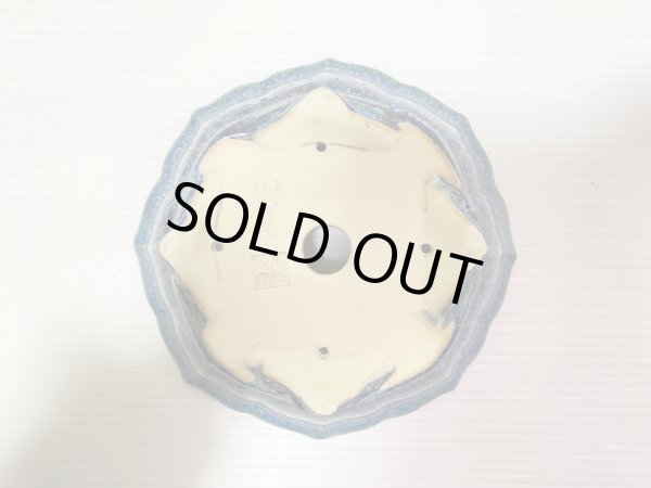 画像5: No.DA41214 樹晃 (5)