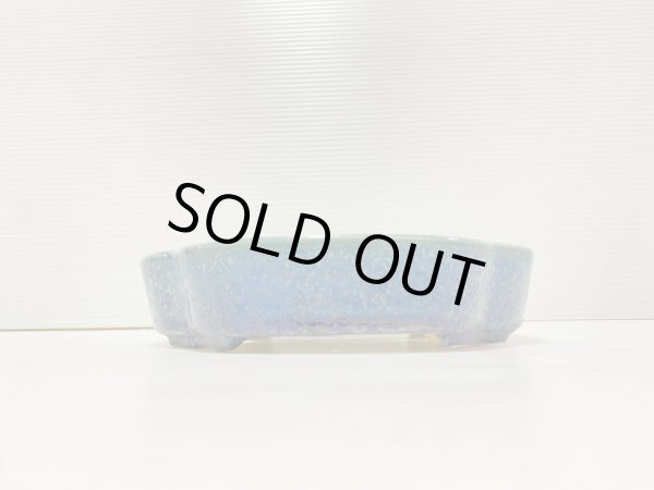 画像2: No.DA41215 樹晃 (2)