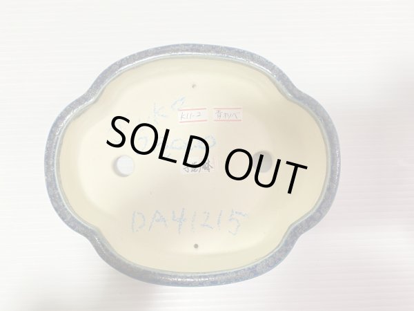 画像3: No.DA41215 樹晃 (3)