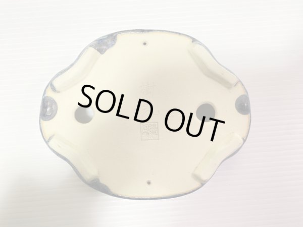 画像4: No.DA41215 樹晃 (4)