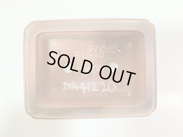 画像3: No.DA41220 美芸 (3)