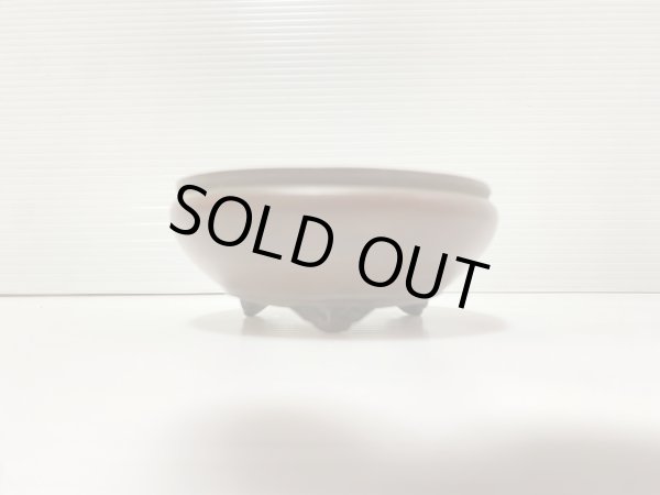 画像2: No.DA41229 美芸 (2)