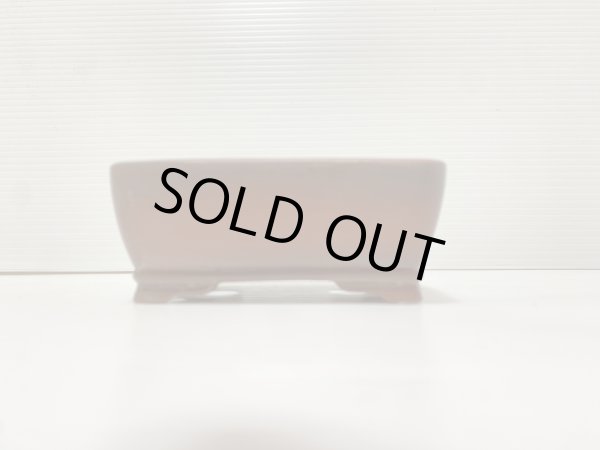 画像2: No.DA41230 美芸 (2)