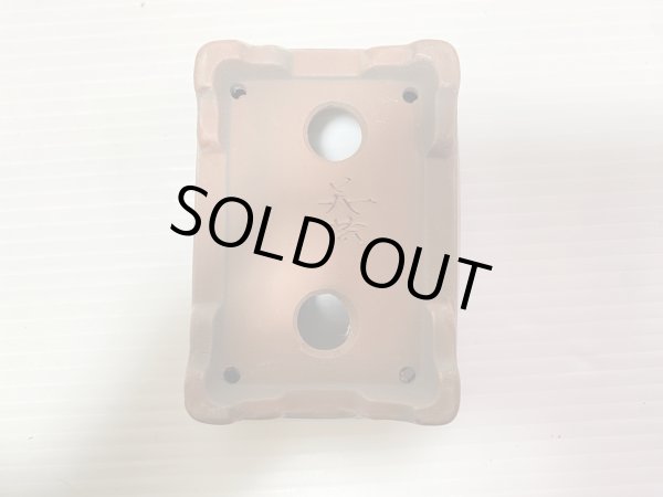 画像4: No.DA41230 美芸 (4)