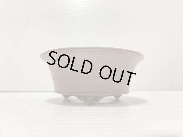 画像2: No.DA41231 美芸 (2)