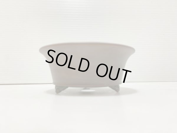 画像3: No.DA41231 美芸 (3)