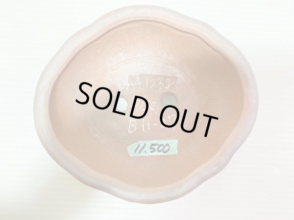 画像3: No.DA41232 美芸 (3)