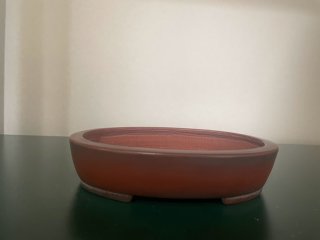 盆栽鉢販売店 ｜ 盆栽鉢専門の盆栽ネットワーク・ジャパン (Page 6)