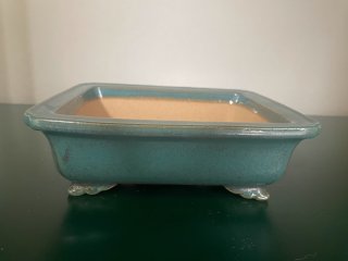 盆栽鉢販売店 ｜ 盆栽鉢専門の盆栽ネットワーク・ジャパン (Page 6)