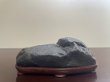画像1: No.SA6808 加茂川石 (1)