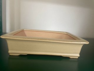 盆栽鉢販売店 ｜ 盆栽鉢専門の盆栽ネットワーク・ジャパン (Page 6)