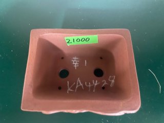 盆栽鉢　是好　中村是好 61中村是好 直径8.2㎝高さ3.5㎝盆栽 鉢