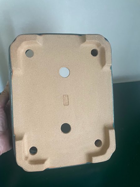 画像3: No.KA4432 黎鳳 (3)